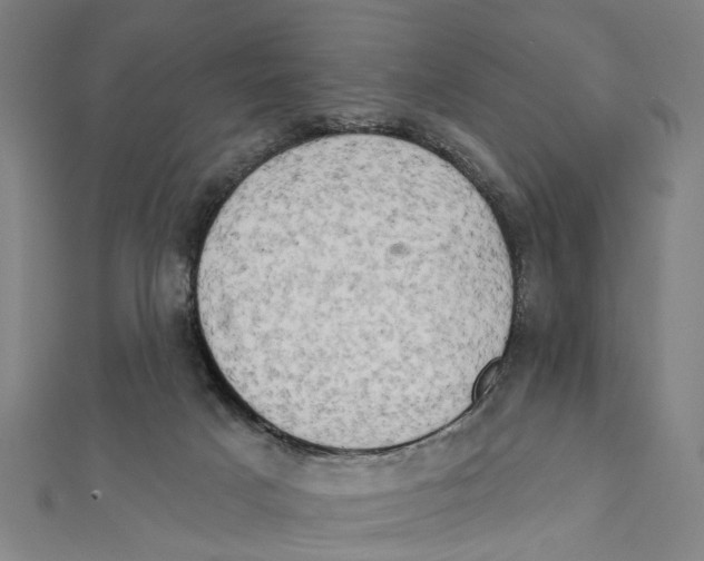 X0000111800025200908201203