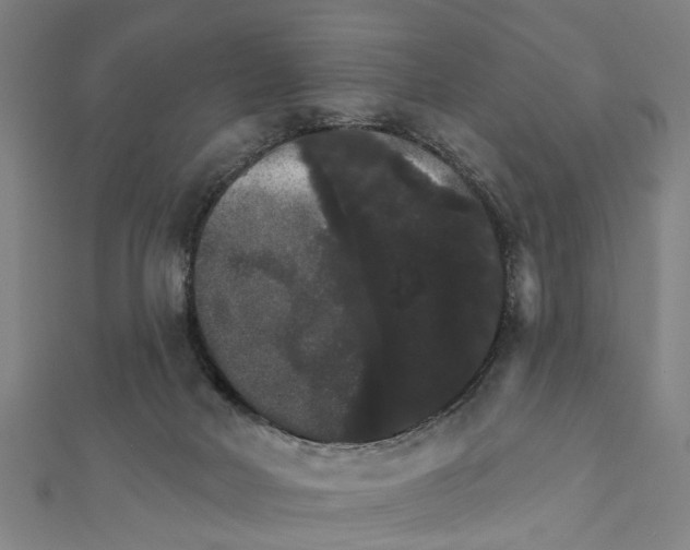 X0000111800026200908201203