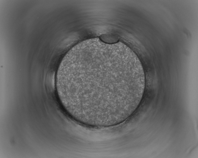 X0000111800028200908201203