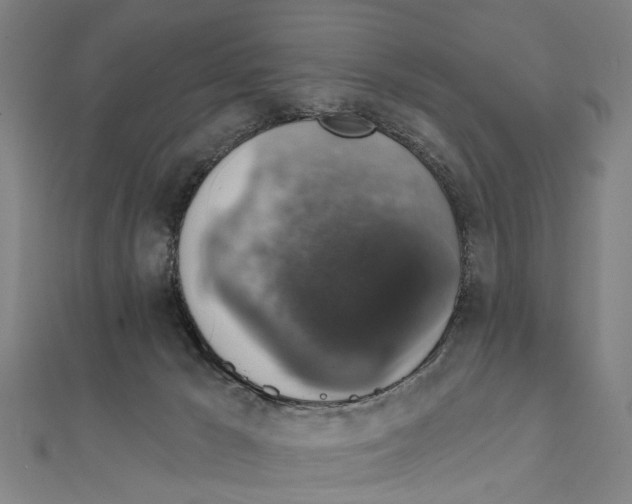 X0000111800029200908201203
