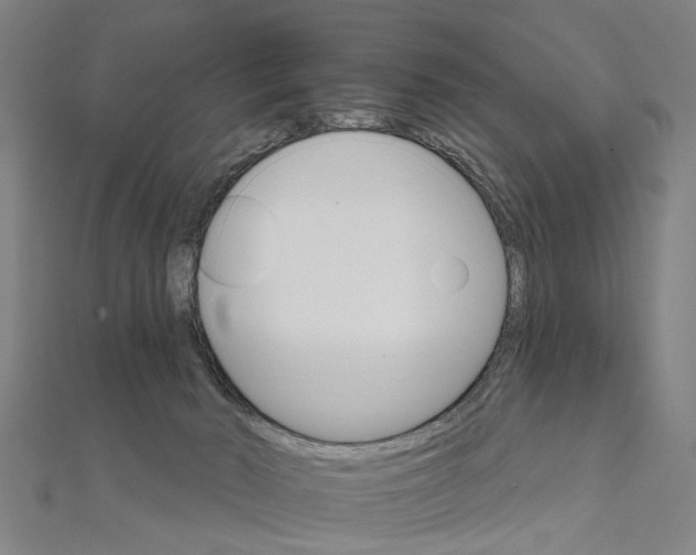 X0000111800030200908201203