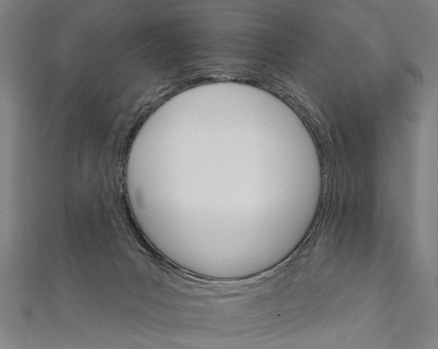 X0000111800031200908201203