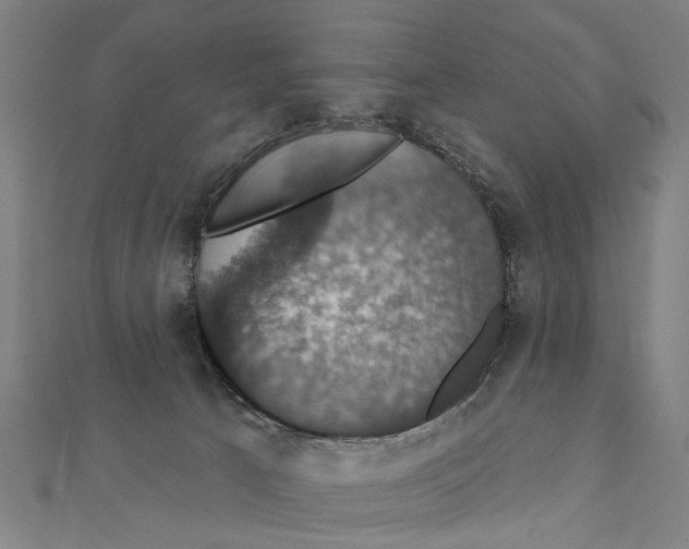X0000111800033200908201203