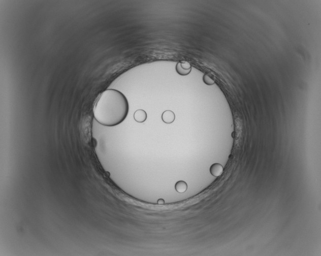 X0000111800034200908201203