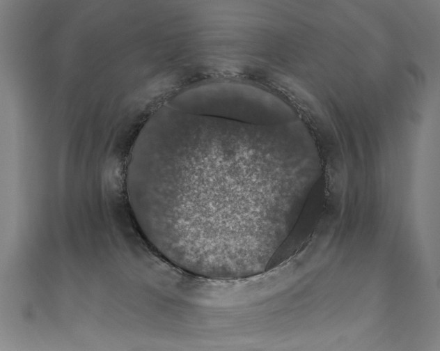 X0000111800037200908201203
