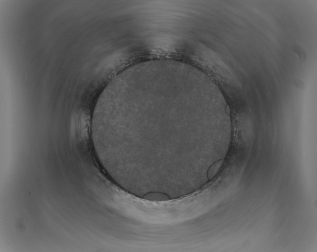 X0000111800038200908201203