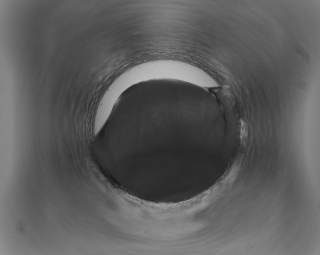 X0000111800039200908201203