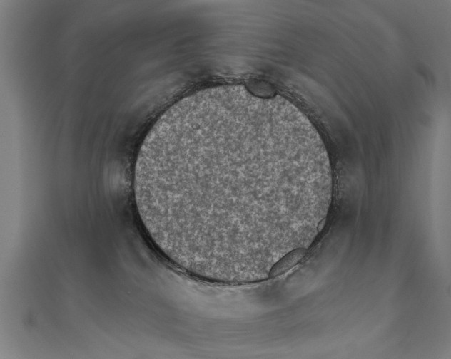 X0000111800040200908201203