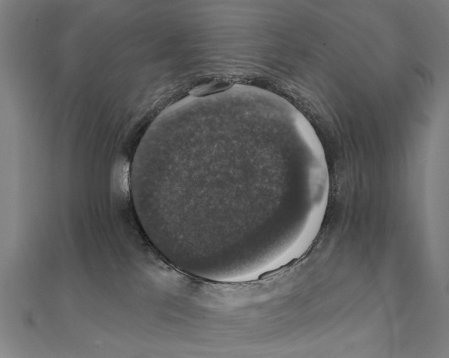 X0000111800041200908201203