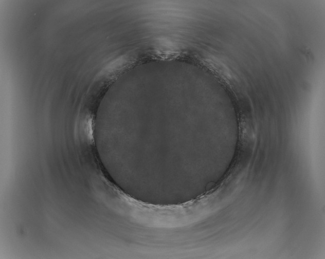 X0000111800042200908201203