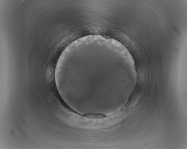 X0000111800043200908201203