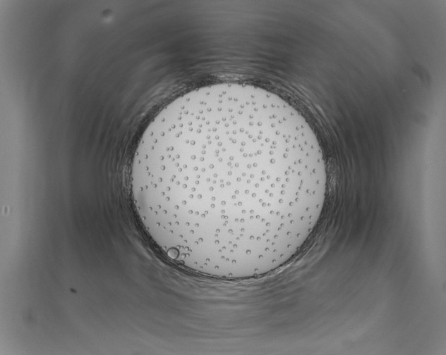 X0000111800044200908201203