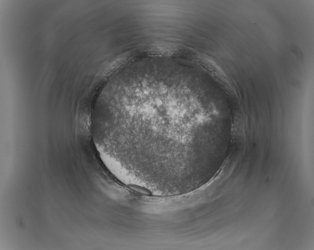 X0000111800045200908201203
