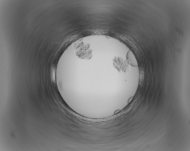 X0000111800046200908201202