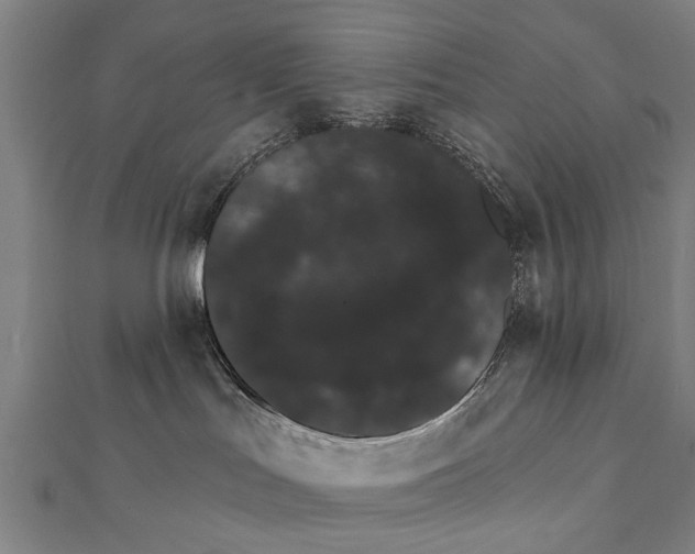 X0000111800047200908201202