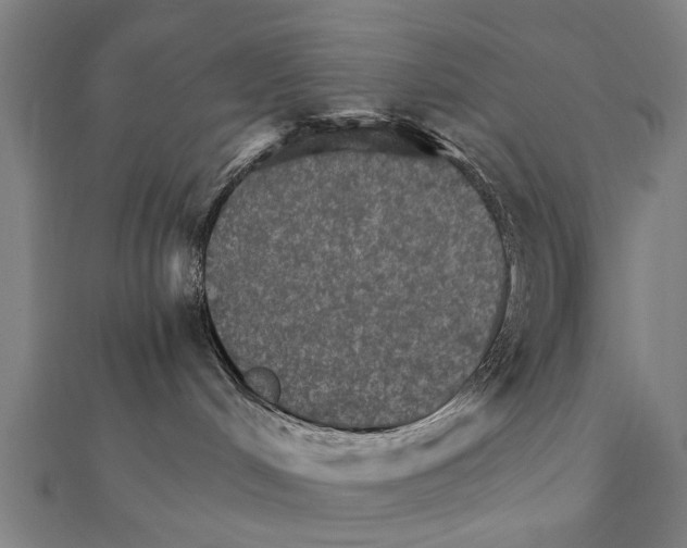 X0000111800048200908201202
