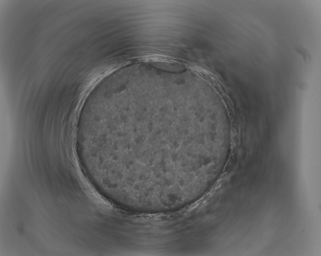 X0000111800049200908201202