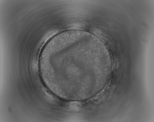 X0000111800050200908201202