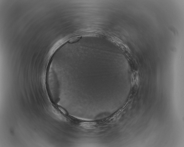 X0000111800051200908201202