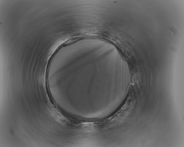 X0000111800052200908201202