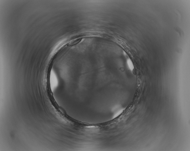 X0000111800053200908201202