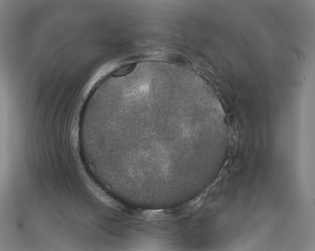 X0000111800054200908201202