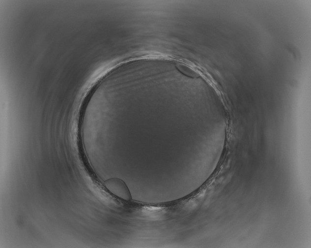 X0000111800055200908201202