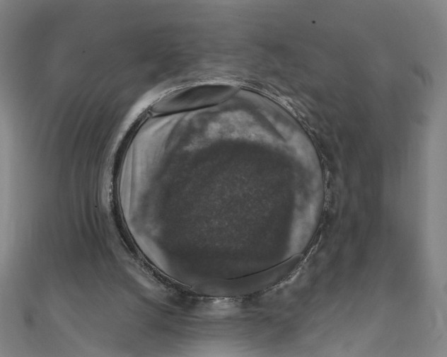 X0000111800056200908201202