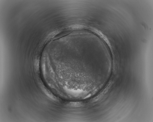 X0000111800057200908201202