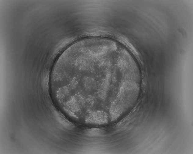 X0000111800058200908201202