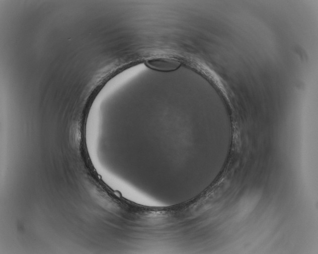 X0000111800059200908201202