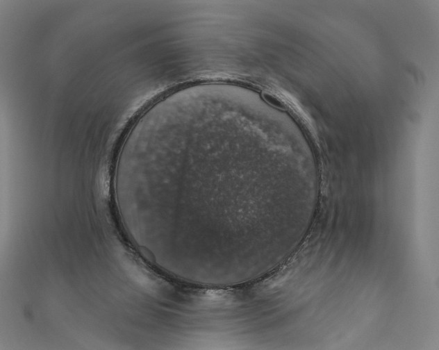 X0000111800060200908201202