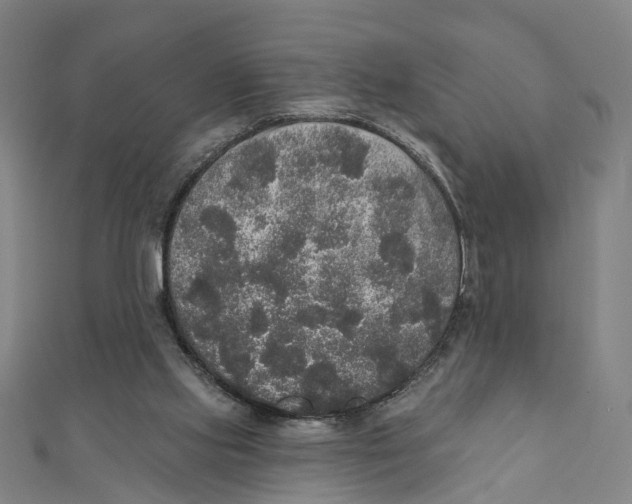 X0000111800061200908201202