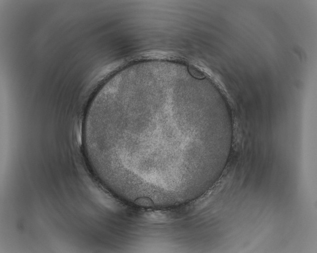 X0000111800062200908201202