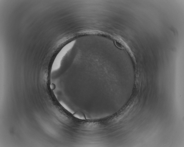X0000111800063200908201202