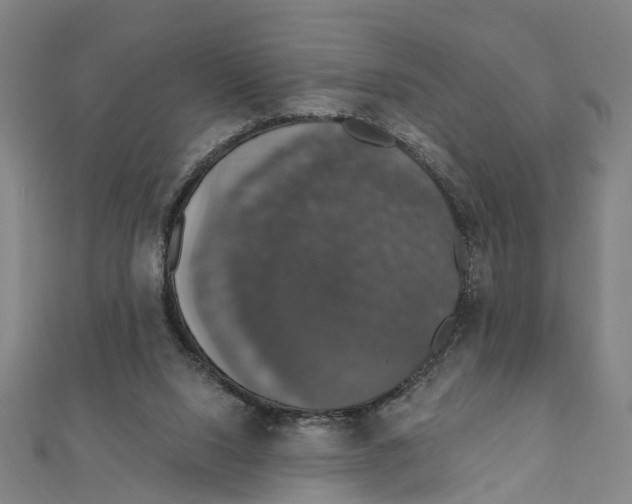 X0000111800064200908201202