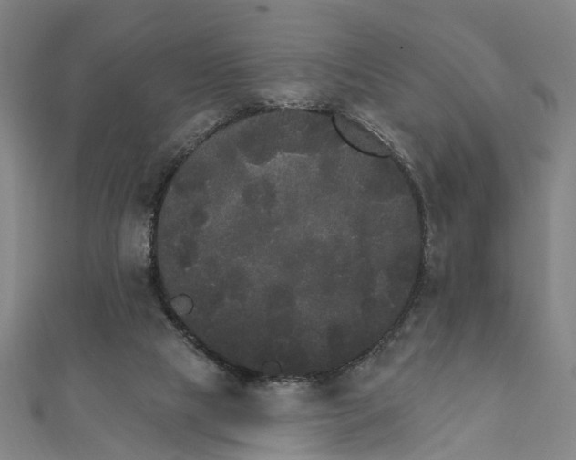 X0000111800065200908201202