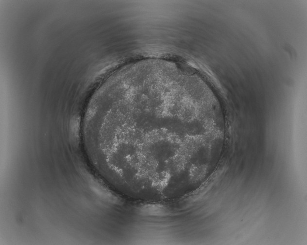 X0000111800066200908201202