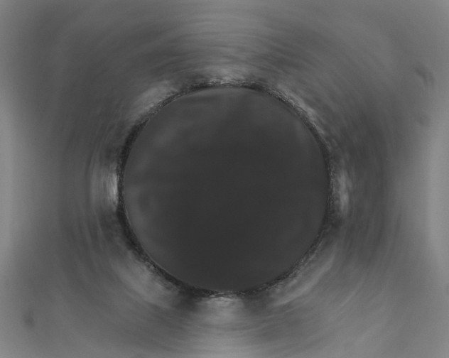 X0000111800067200908201202