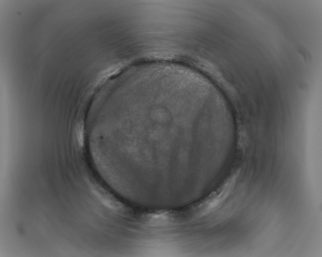 X0000111800068200908201202