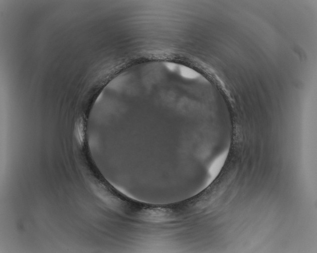 X0000111800069200908201202
