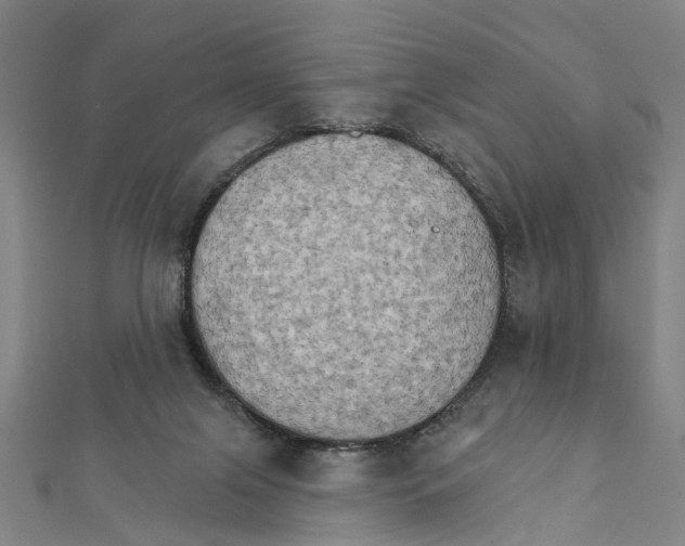 X0000111800071200908201202