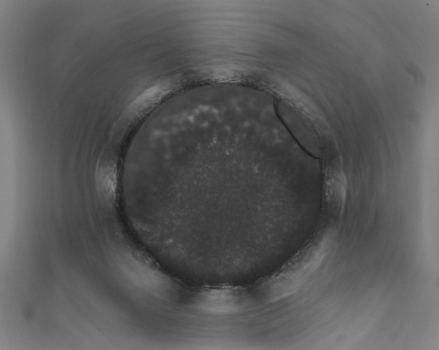 X0000111800072200908201202