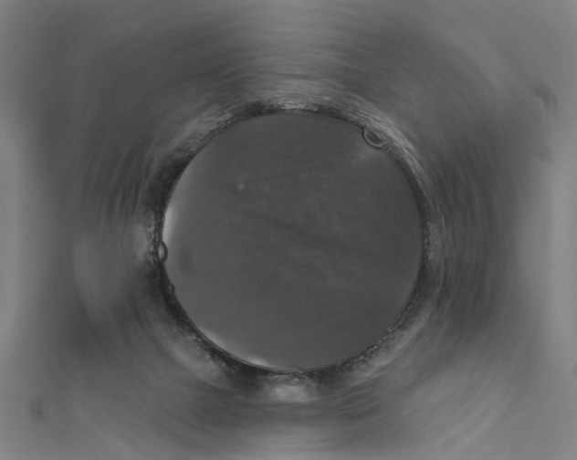 X0000111800073200908201202