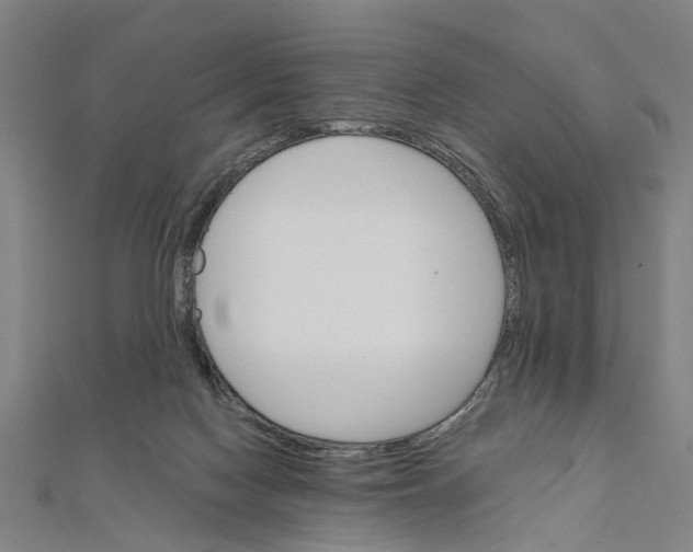 X0000111800074200908201202
