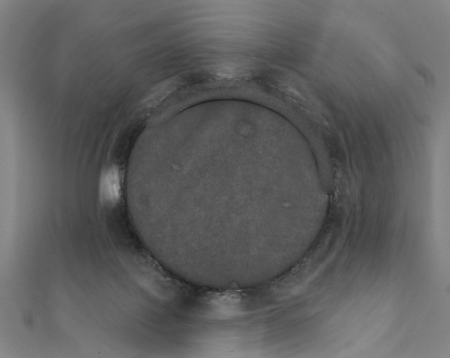 X0000111800075200908201202