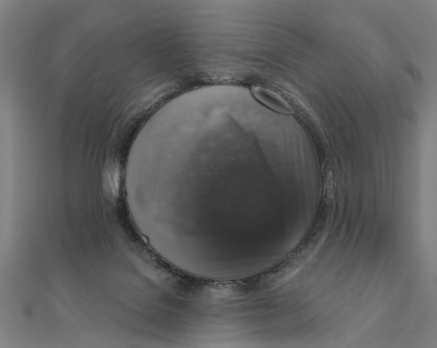 X0000111800076200908201202