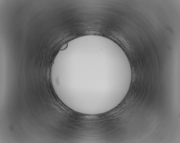 X0000111800077200908201202