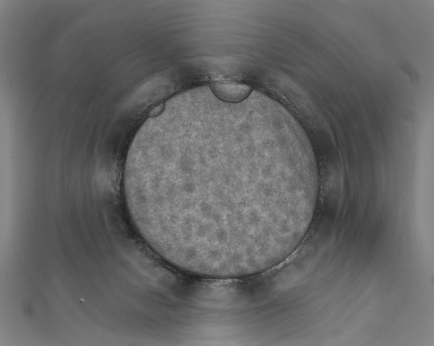 X0000111800078200908201202