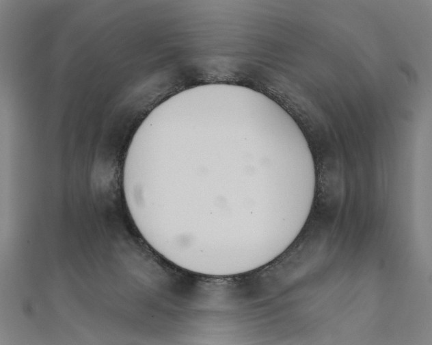 X0000111800079200908201202